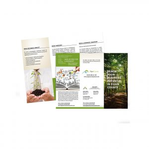 Blackcat Concepts Web Design Graphic Design - County of Elgin Brochure